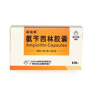 氨苄西林胶囊-北京容猫科技有限公司
